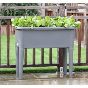 Raised Garden Flower Bed