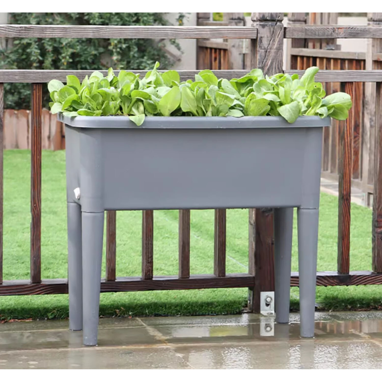 Raised Garden Flower Bed
