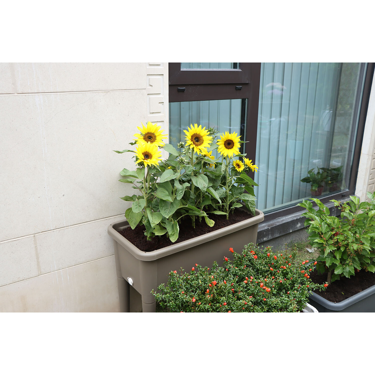 Raised Garden Flower Bed - Image 4