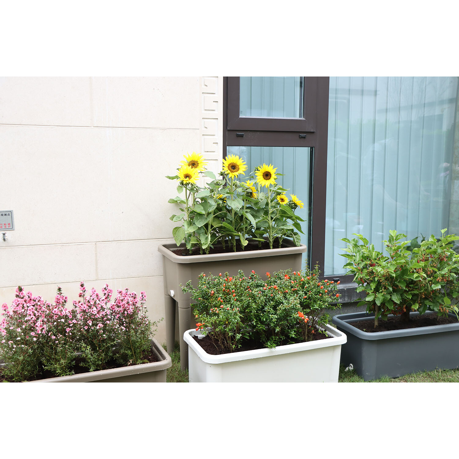 Raised Garden Flower Bed - Image 5