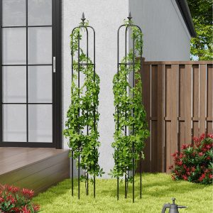 2 Pieces Obelisk Climbing Plant Support - Black