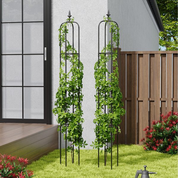 2 Pieces Obelisk Climbing Plant Support - Black